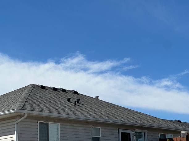 Best Storm Damage Roof Repair  in Utica, SC